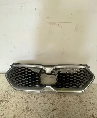 BMW X2 U10 Front grill 5a4B303