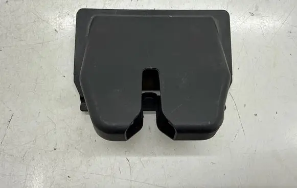 Dodge Hornet Tailgate trim 68332768AA