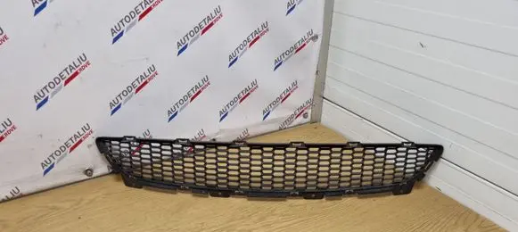 BMW Z4 E89 Front bumper lower grill 7903744