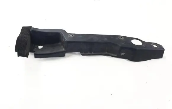 Fender trim (molding)