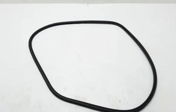 Volvo XC60 Rubber seal front door (on door) 31424344