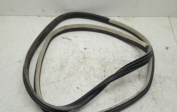 Citroen C4 I Picasso Front door rubber seal