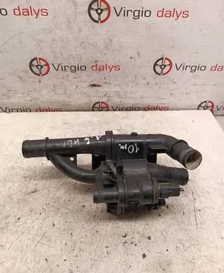 Thermostat/thermostat housing