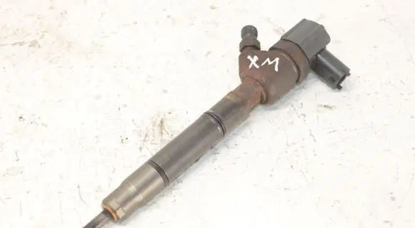 KIA Ceed Fuel injector 338002A900 0445110320