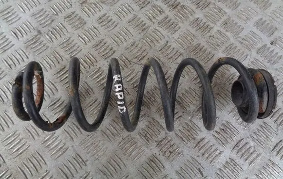 Rear coil spring