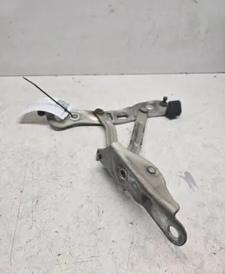 Volvo S60 Tailgate/trunk/boot hinge 1234
