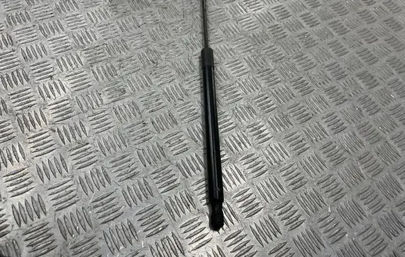 Opel Meriva B Tailgate/trunk strut/damper 13338367