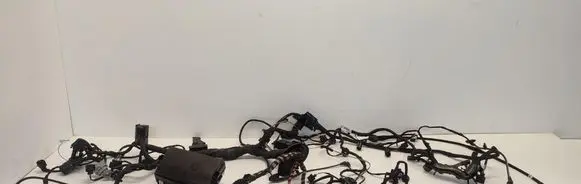 Engine installation wiring loom