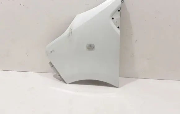 Renault Trafic III (X82) Fender 631014989R