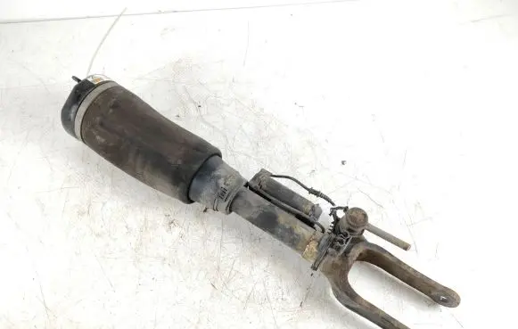Mercedes-Benz R W251 Air suspension front shock absorber A25870000004056 A258