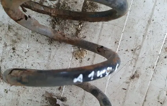 Toyota Avensis Verso Rear coil spring NOCODE