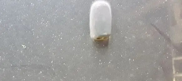 Ford Focus C-MAX Windshield washer spray nozzle 