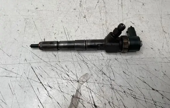 Opel Insignia A Fuel injector 0445110