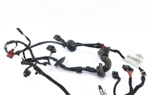 Audi A8 S8 D3 4E Front door wiring loom 4E0971029BS