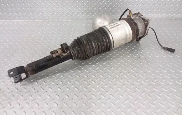 Volkswagen Phaeton Air suspension rear shock absorber 3D0616001F