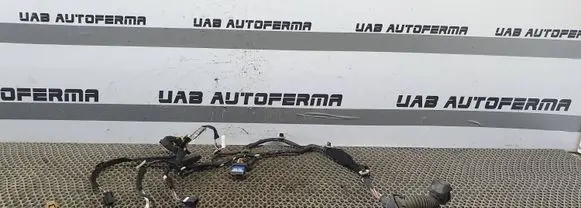 Renault Clio IV Front door wiring loom 241244051R