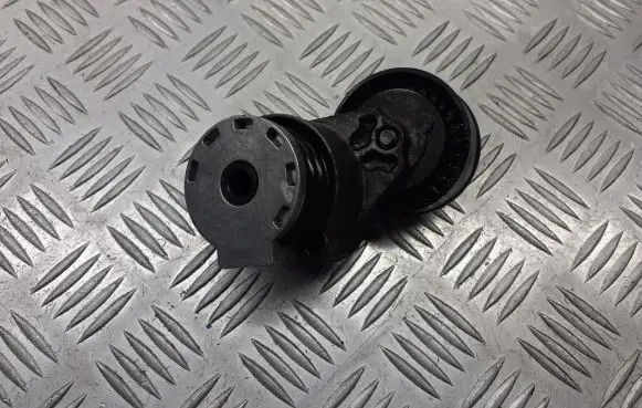 Renault Megane II Alternator belt tensioner pulley 8200608550