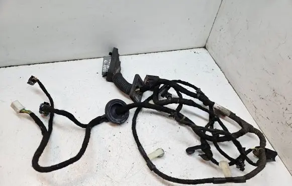Front door wiring loom