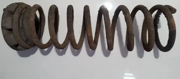 Front coil spring