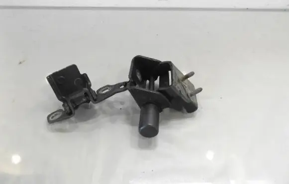 Renault Clio III Rear door lower hinge