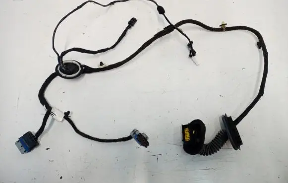 Citroen C3 Aircross Rear door wiring loom 39149169