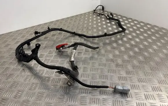 Peugeot Expert Positive cable (battery) 9801722780