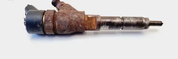 Citroen Jumper Fuel injector 0445110076 9641742880