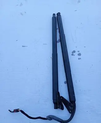 Tailgate strut