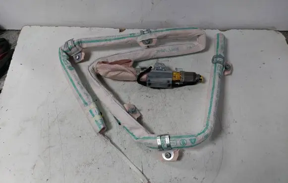 Jaguar E-Pace Roof airbag 309017120-AC