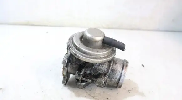 EGR valve