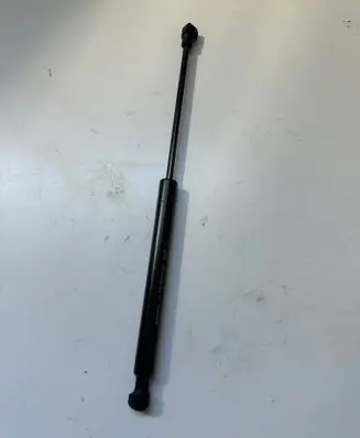 Tailgate strut