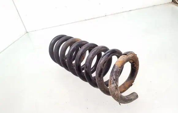 Rear coil spring