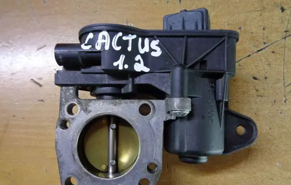 Citroen C4 Cactus Throttle valve 9673622380
