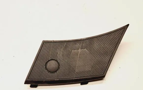 Side speaker trim/cover