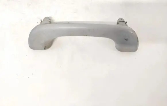 Renault Laguna II Front interior roof grab handle 8200000099