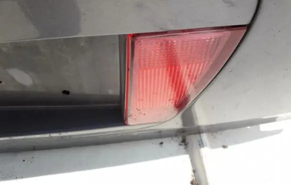 Nissan Primera Rear fog light 