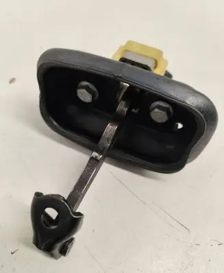 Renault Laguna III Front door check strap stopper 80431 808R10003R