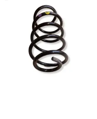 Ford Focus Front coil spring 