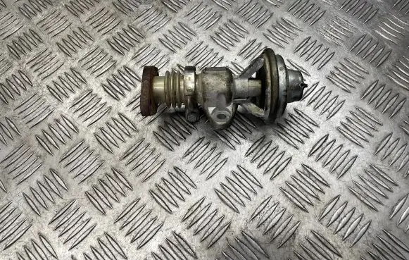 Seat Ibiza II (6k) EGR valve 038131501
