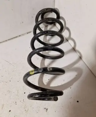 Rear coil spring