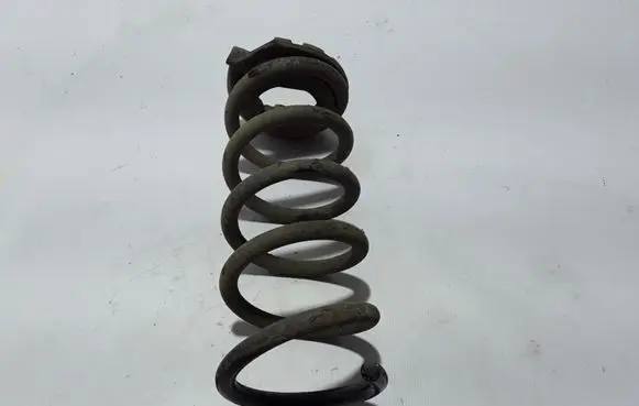 Renault Latitude (L70) Rear coil spring 550200074R