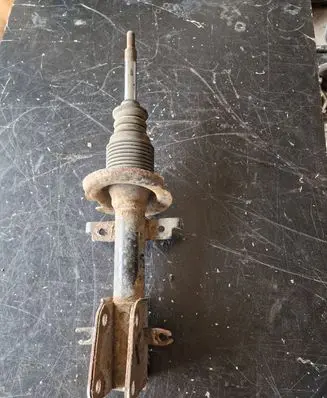 Renault Laguna II Front shock absorber/damper 8200117298