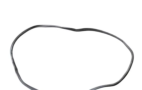 Ford Transit Front door rubber seal BK31V20709AA DA06331N