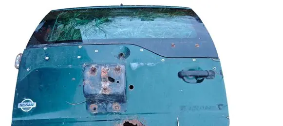Tailgate/trunk/boot lid