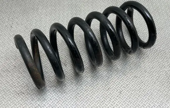 Rear coil spring