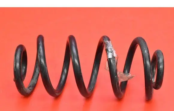 Rear coil spring