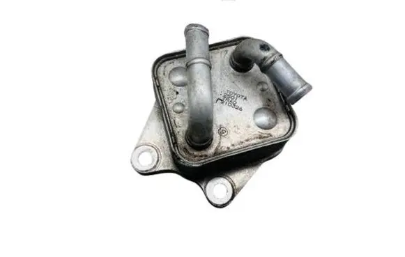 Toyota RAV 4 (XA50) Engine oil radiator 