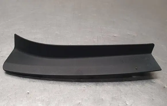 Rear/tail light trim molding