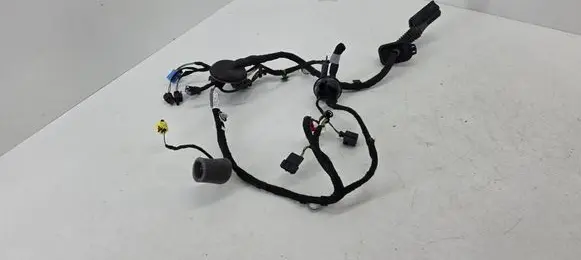 Audi SQ7 Front door wiring loom 4M0971030HG