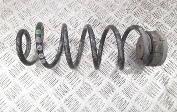 Rear coil spring